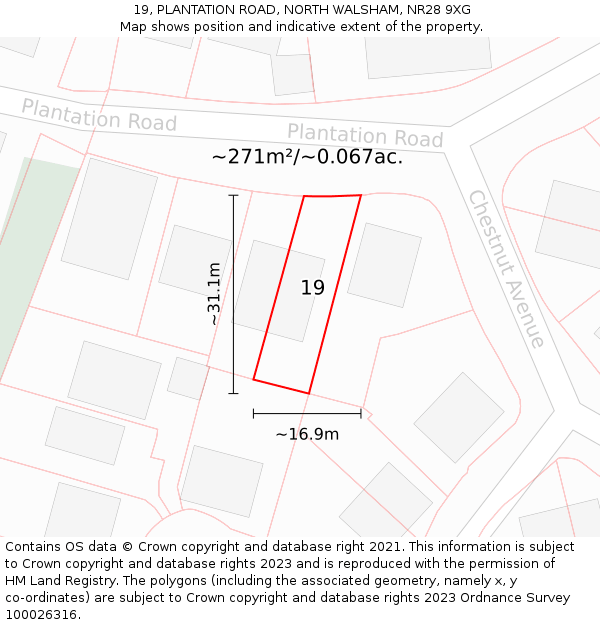 19, PLANTATION ROAD, NORTH WALSHAM, NR28 9XG: Plot and title map