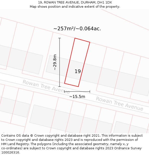 19, ROWAN TREE AVENUE, DURHAM, DH1 1DX: Plot and title map