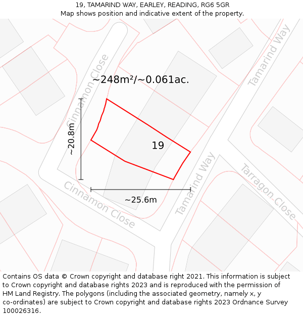 19, TAMARIND WAY, EARLEY, READING, RG6 5GR: Plot and title map