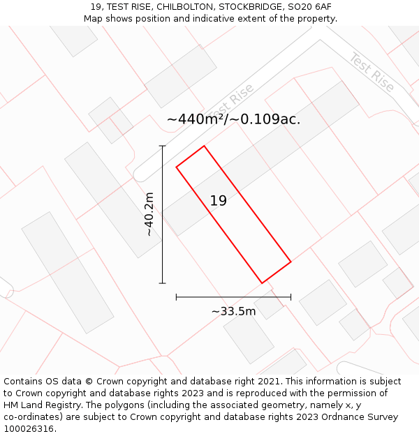 19, TEST RISE, CHILBOLTON, STOCKBRIDGE, SO20 6AF: Plot and title map