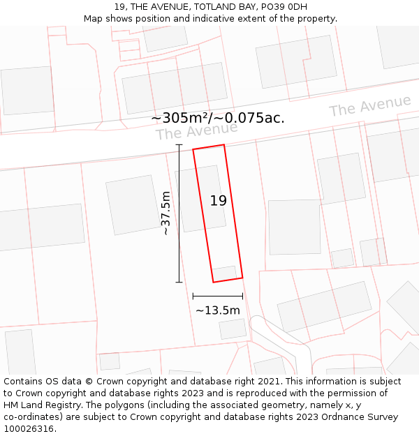 19, THE AVENUE, TOTLAND BAY, PO39 0DH: Plot and title map