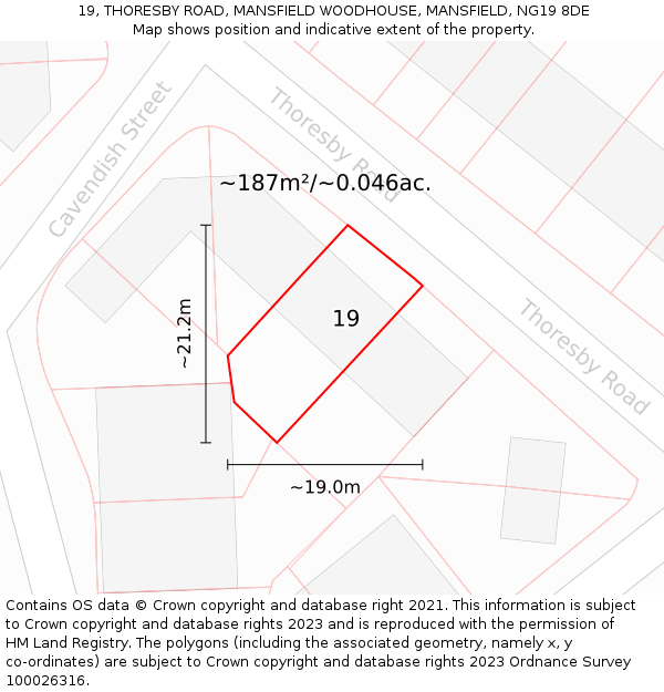 19, THORESBY ROAD, MANSFIELD WOODHOUSE, MANSFIELD, NG19 8DE: Plot and title map