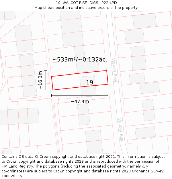 19, WALCOT RISE, DISS, IP22 4PD: Plot and title map