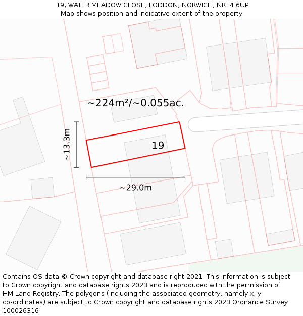 19, WATER MEADOW CLOSE, LODDON, NORWICH, NR14 6UP: Plot and title map