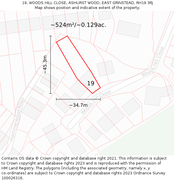 19, WOODS HILL CLOSE, ASHURST WOOD, EAST GRINSTEAD, RH19 3RJ: Plot and title map