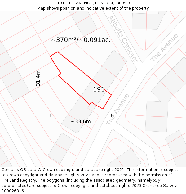 191, THE AVENUE, LONDON, E4 9SD: Plot and title map