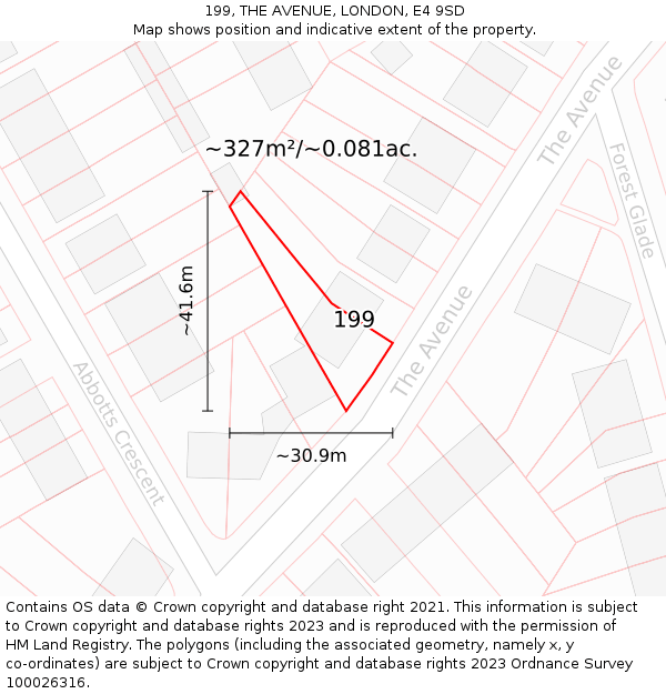 199, THE AVENUE, LONDON, E4 9SD: Plot and title map