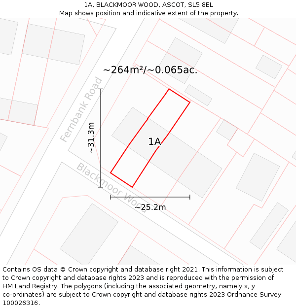 1A, BLACKMOOR WOOD, ASCOT, SL5 8EL: Plot and title map