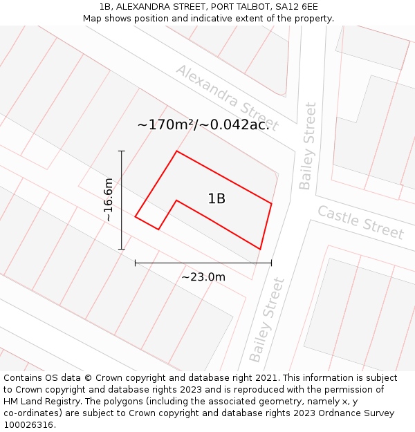 1B, ALEXANDRA STREET, PORT TALBOT, SA12 6EE: Plot and title map