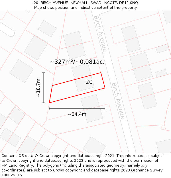 20, BIRCH AVENUE, NEWHALL, SWADLINCOTE, DE11 0NQ: Plot and title map