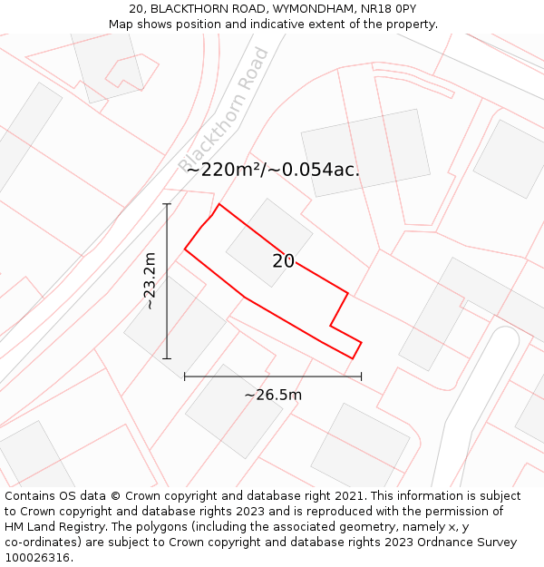 20, BLACKTHORN ROAD, WYMONDHAM, NR18 0PY: Plot and title map