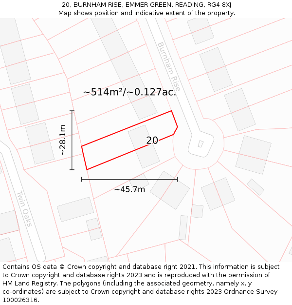 20, BURNHAM RISE, EMMER GREEN, READING, RG4 8XJ: Plot and title map