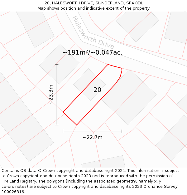 20, HALESWORTH DRIVE, SUNDERLAND, SR4 8DL: Plot and title map