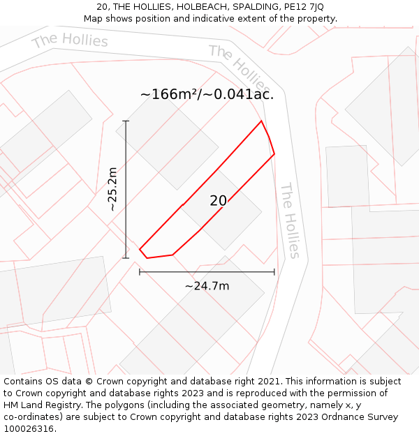 20, THE HOLLIES, HOLBEACH, SPALDING, PE12 7JQ: Plot and title map