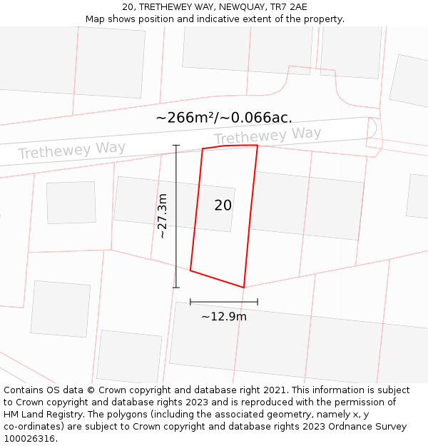 20, TRETHEWEY WAY, NEWQUAY, TR7 2AE: Plot and title map