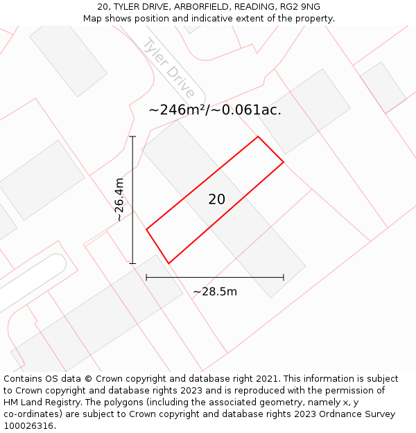 20, TYLER DRIVE, ARBORFIELD, READING, RG2 9NG: Plot and title map