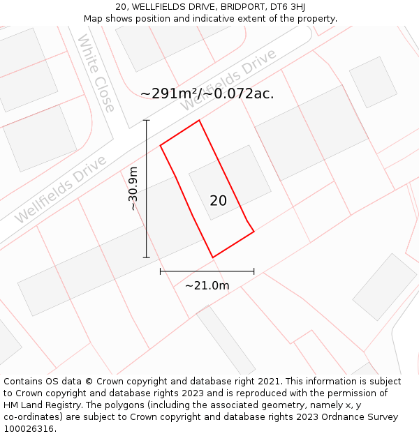 20, WELLFIELDS DRIVE, BRIDPORT, DT6 3HJ: Plot and title map