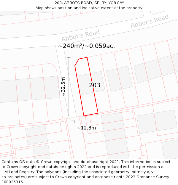 203, ABBOTS ROAD, SELBY, YO8 8AY: Plot and title map