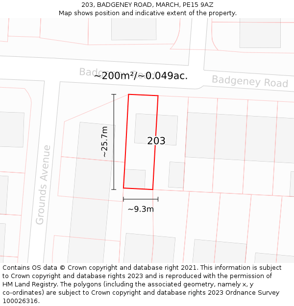 203, BADGENEY ROAD, MARCH, PE15 9AZ: Plot and title map