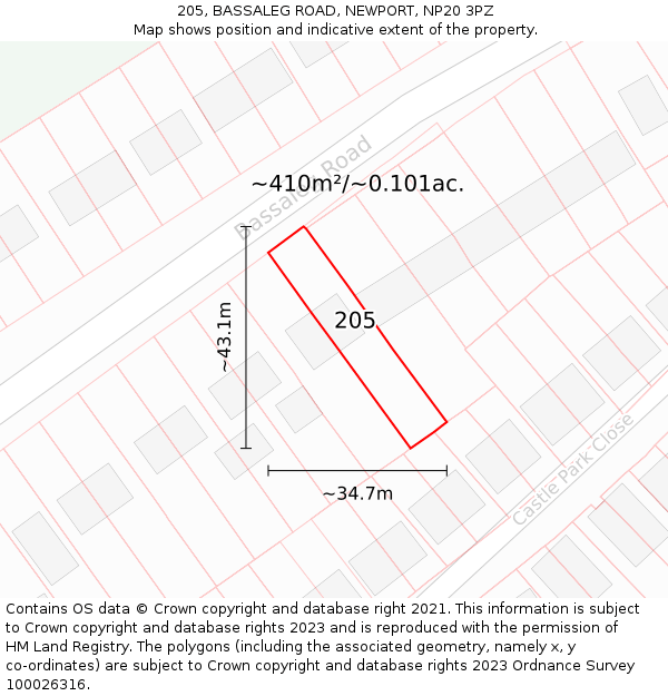 205, BASSALEG ROAD, NEWPORT, NP20 3PZ: Plot and title map