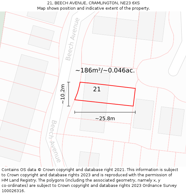 21, BEECH AVENUE, CRAMLINGTON, NE23 6XS: Plot and title map