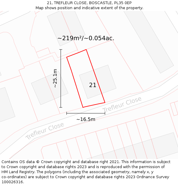 21, TREFLEUR CLOSE, BOSCASTLE, PL35 0EP: Plot and title map