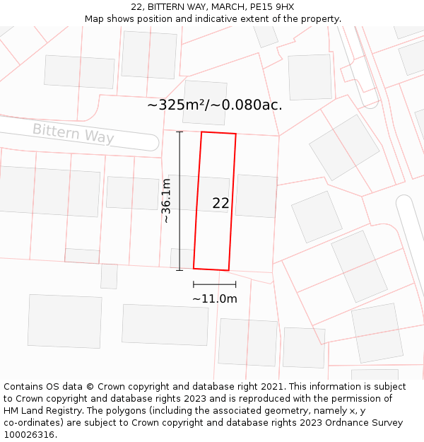 22, BITTERN WAY, MARCH, PE15 9HX: Plot and title map