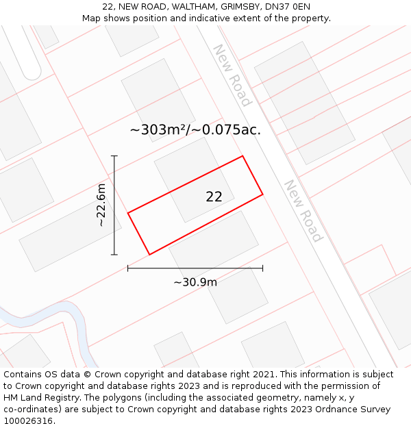 22, NEW ROAD, WALTHAM, GRIMSBY, DN37 0EN: Plot and title map