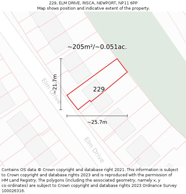 229, ELM DRIVE, RISCA, NEWPORT, NP11 6PP: Plot and title map