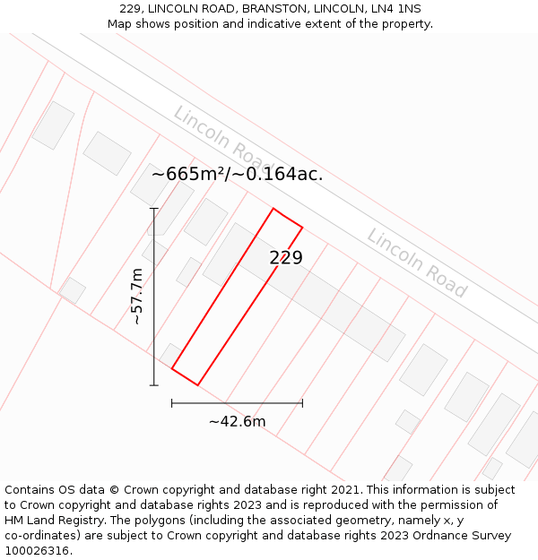 229, LINCOLN ROAD, BRANSTON, LINCOLN, LN4 1NS: Plot and title map