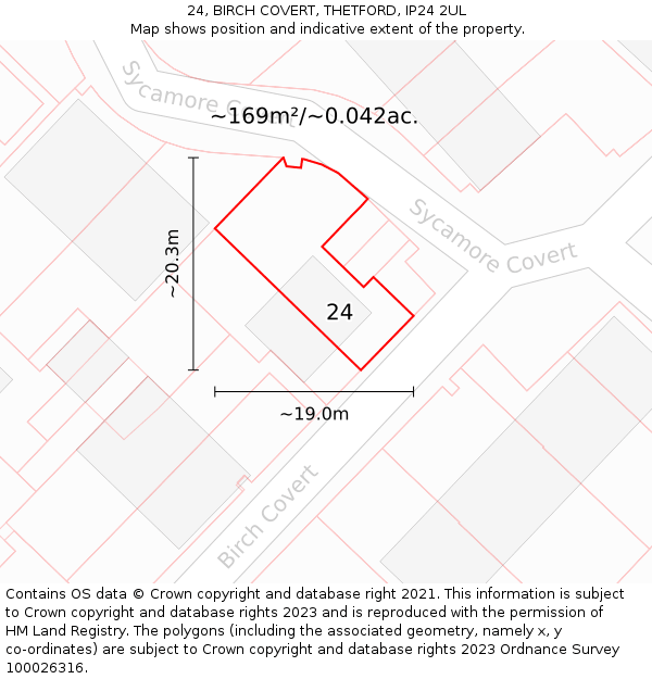 24, BIRCH COVERT, THETFORD, IP24 2UL: Plot and title map