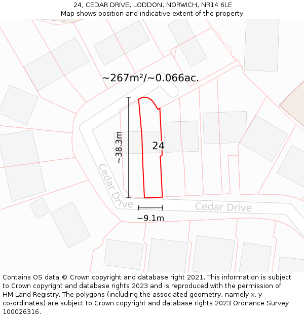 24, CEDAR DRIVE, LODDON, NORWICH, NR14 6LE: Plot and title map