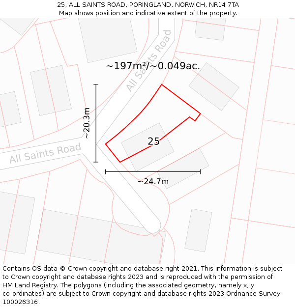 25, ALL SAINTS ROAD, PORINGLAND, NORWICH, NR14 7TA: Plot and title map