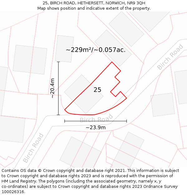 25, BIRCH ROAD, HETHERSETT, NORWICH, NR9 3QH: Plot and title map