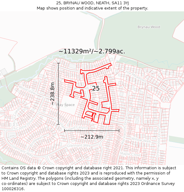 25, BRYNAU WOOD, NEATH, SA11 3YJ: Plot and title map