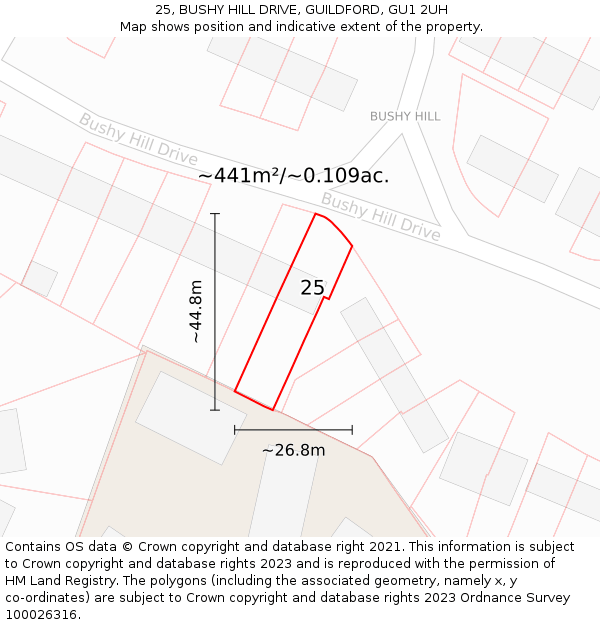 25, BUSHY HILL DRIVE, GUILDFORD, GU1 2UH: Plot and title map