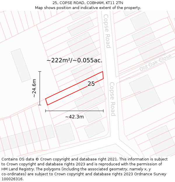 25, COPSE ROAD, COBHAM, KT11 2TN: Plot and title map