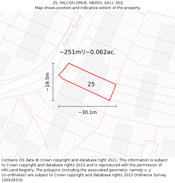 25, FALCON DRIVE, NEATH, SA11 3SG: Plot and title map