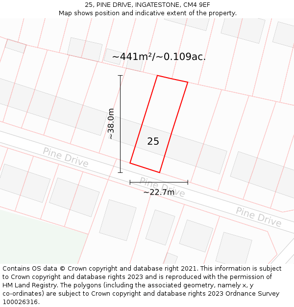 25, PINE DRIVE, INGATESTONE, CM4 9EF: Plot and title map