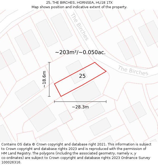 25, THE BIRCHES, HORNSEA, HU18 1TX: Plot and title map