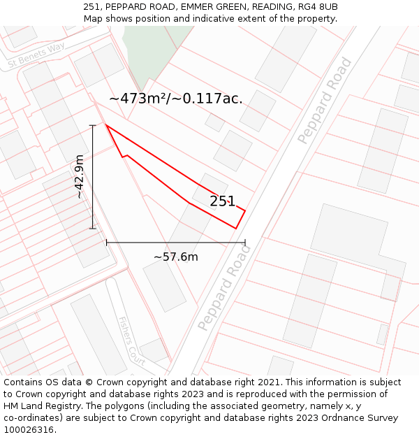 251, PEPPARD ROAD, EMMER GREEN, READING, RG4 8UB: Plot and title map