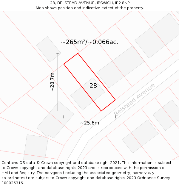 28, BELSTEAD AVENUE, IPSWICH, IP2 8NP: Plot and title map