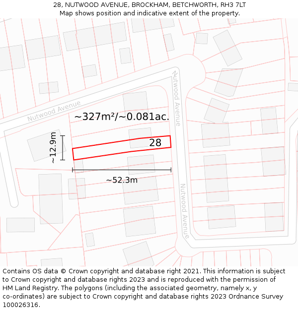 28, NUTWOOD AVENUE, BROCKHAM, BETCHWORTH, RH3 7LT: Plot and title map