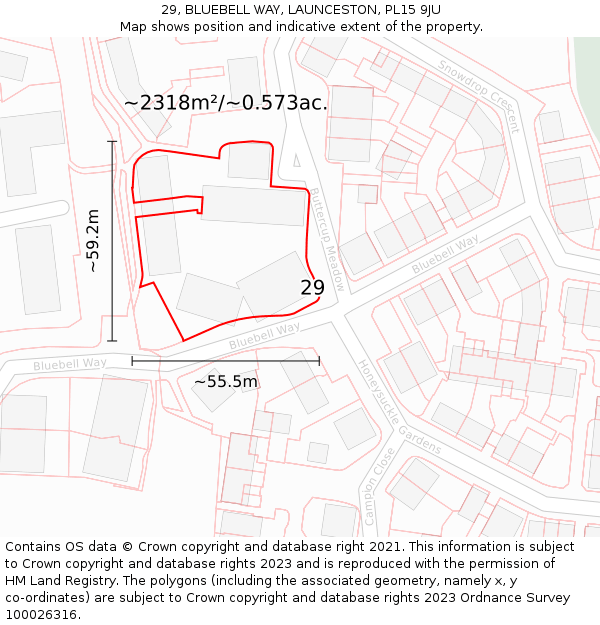 29, BLUEBELL WAY, LAUNCESTON, PL15 9JU: Plot and title map