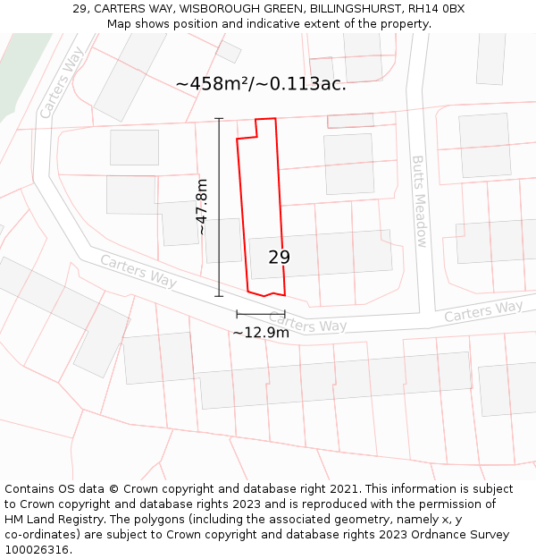 29, CARTERS WAY, WISBOROUGH GREEN, BILLINGSHURST, RH14 0BX: Plot and title map