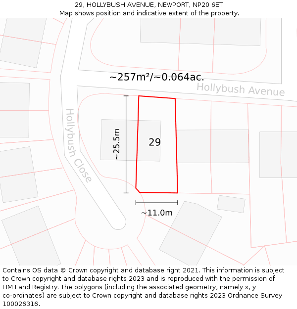 29, HOLLYBUSH AVENUE, NEWPORT, NP20 6ET: Plot and title map