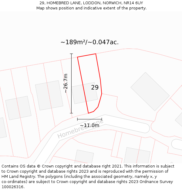 29, HOMEBRED LANE, LODDON, NORWICH, NR14 6UY: Plot and title map