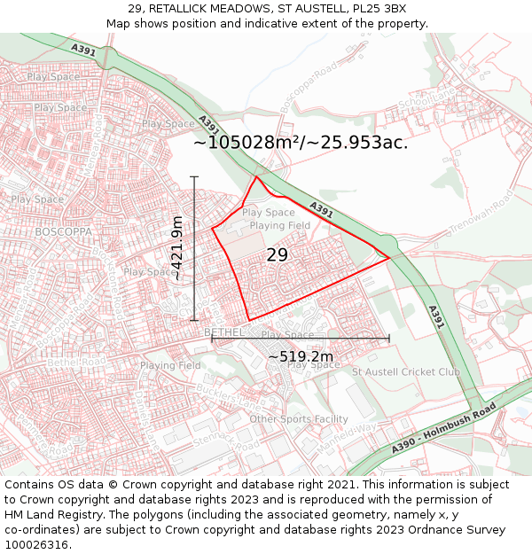 29, RETALLICK MEADOWS, ST AUSTELL, PL25 3BX: Plot and title map