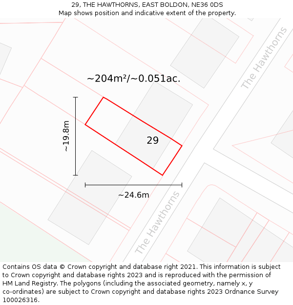 29, THE HAWTHORNS, EAST BOLDON, NE36 0DS: Plot and title map