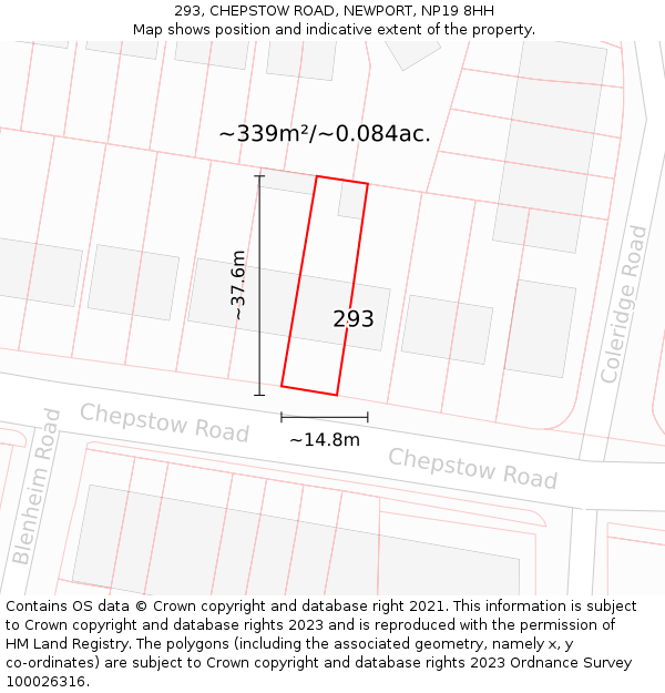 293, CHEPSTOW ROAD, NEWPORT, NP19 8HH: Plot and title map